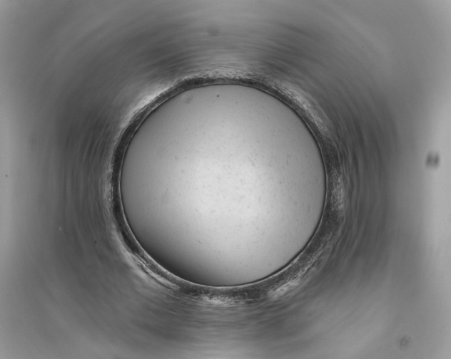 X0000094460677200711291722