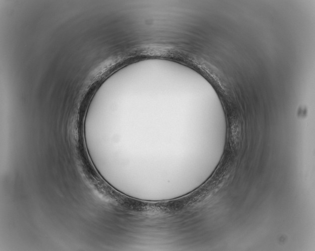 X0000094460682200711291722