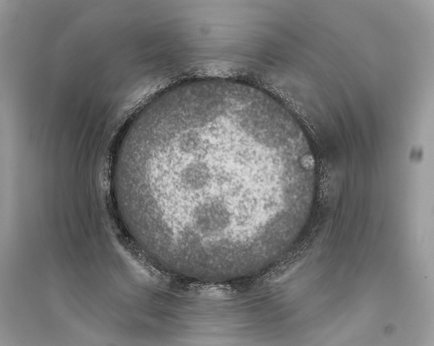 X0000094460683200711291722