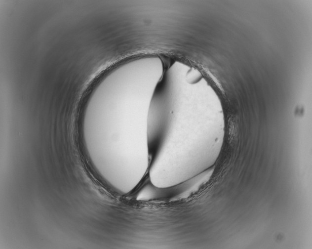 X0000094460684200711291722