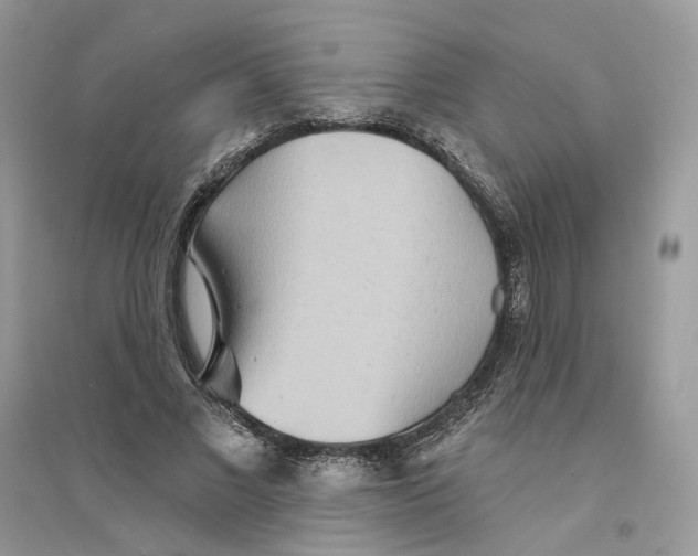 X0000094460685200711291722