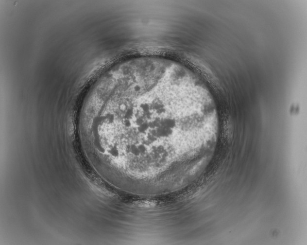 X0000094460687200711291722