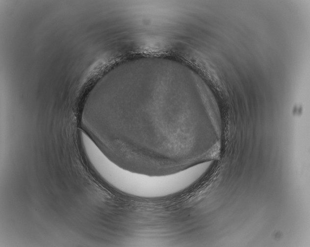 X0000094460689200711291722