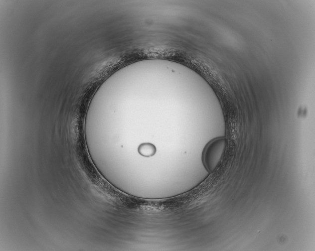 X0000094460690200711291722