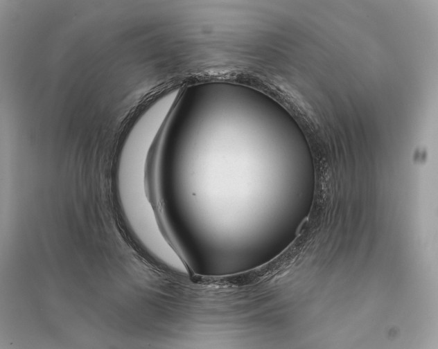 X0000094460693200711291722