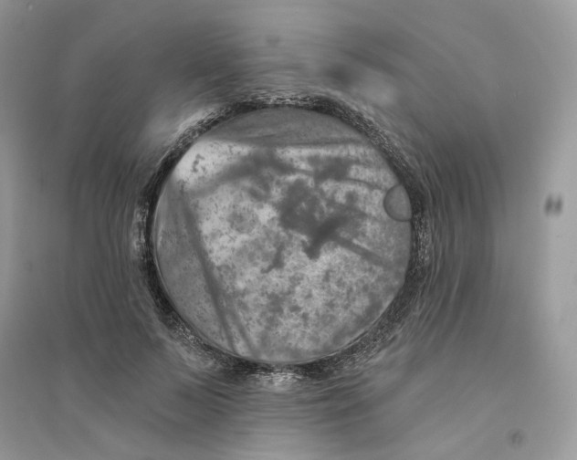 X0000094460695200711291722