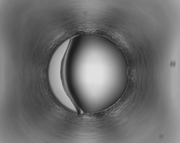 X0000094460697200711291722