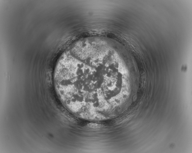 X0000094460699200711291722