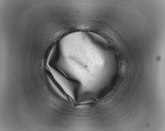 X0000094460700200711291722