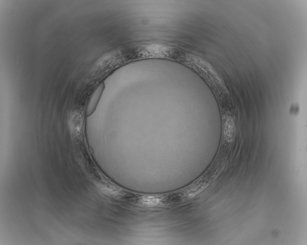 X0000094460701200711291722