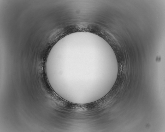 X0000094460702200711291722