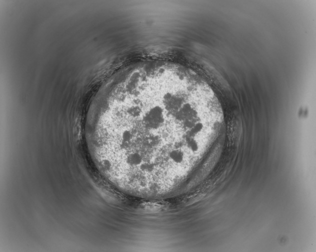 X0000094460703200711291722