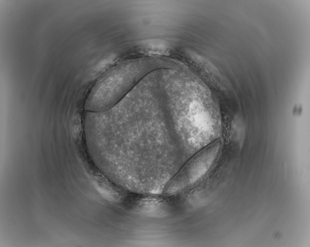 X0000094460704200711291722