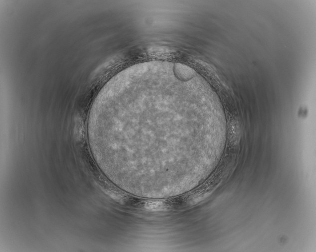 X0000094460705200711291722