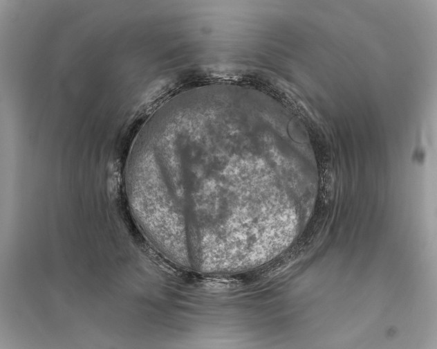 X0000094460707200711291722