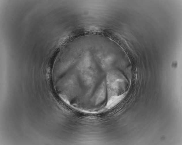 X0000094460708200711291722