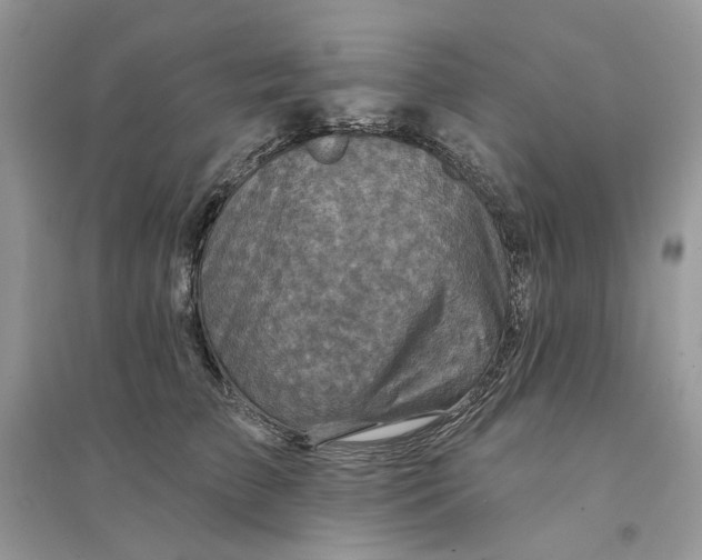 X0000094460709200711291722