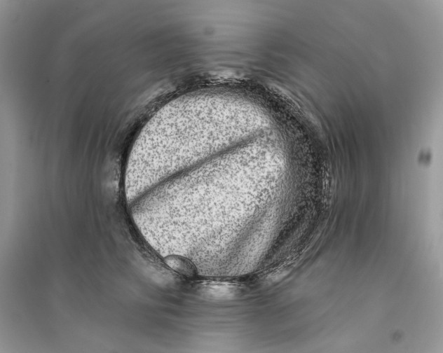 X0000094460710200711291722