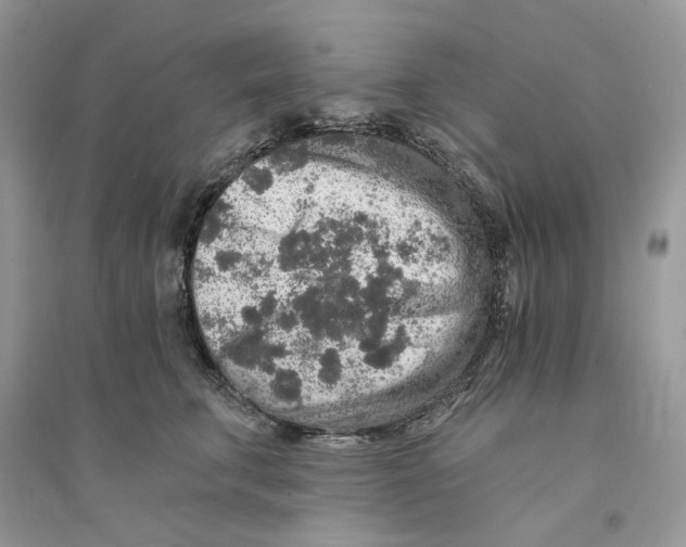 X0000094460711200711291722