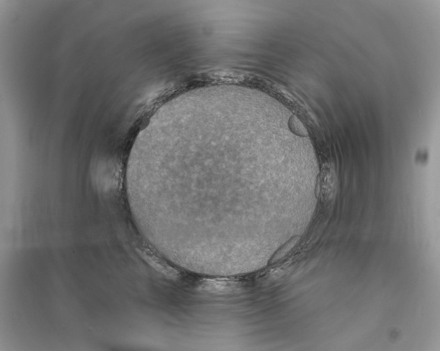 X0000094460713200711291722