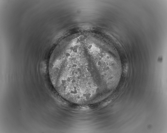 X0000094460715200711291722