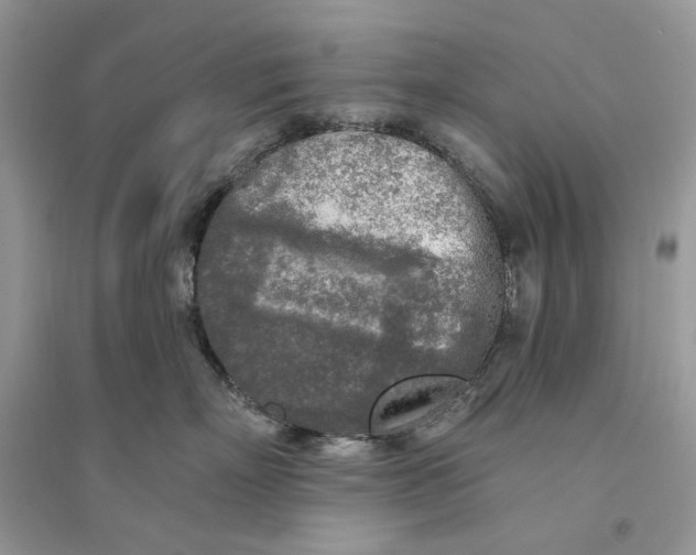 X0000094460718200711291722