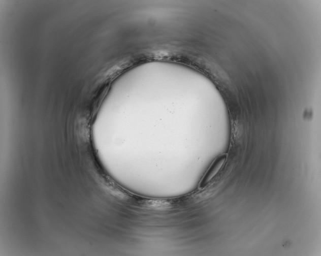 X0000094460719200711291722