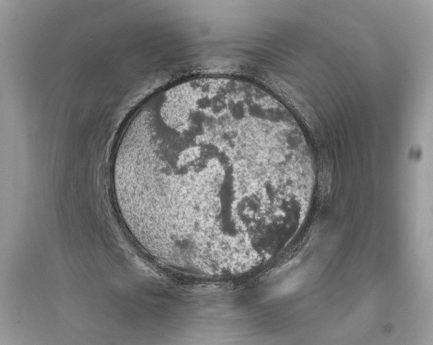 X0000094460721200711291721