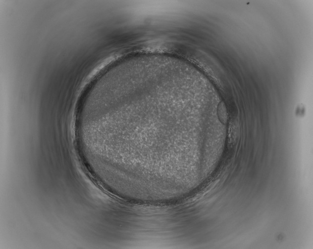 X0000094460722200711291721