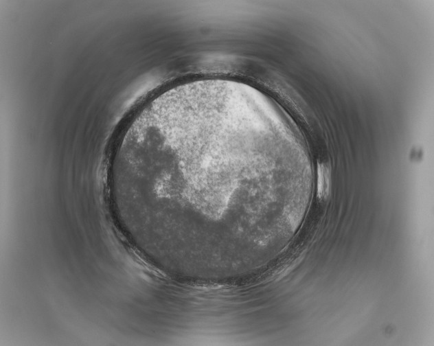 X0000094460723200711291721