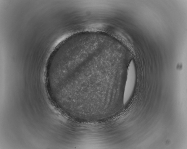 X0000094460724200711291721