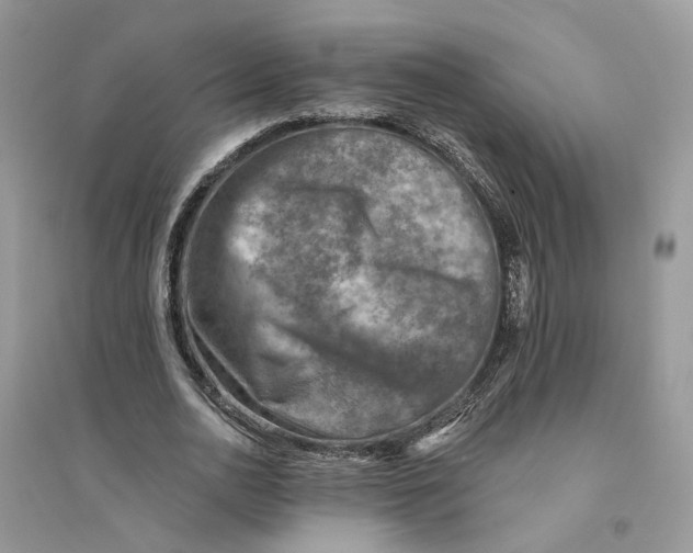 X0000094460726200711291721