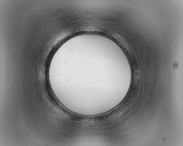 X0000094460727200711291721