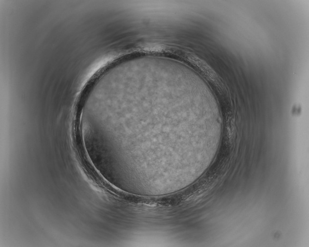 X0000094460728200711291721