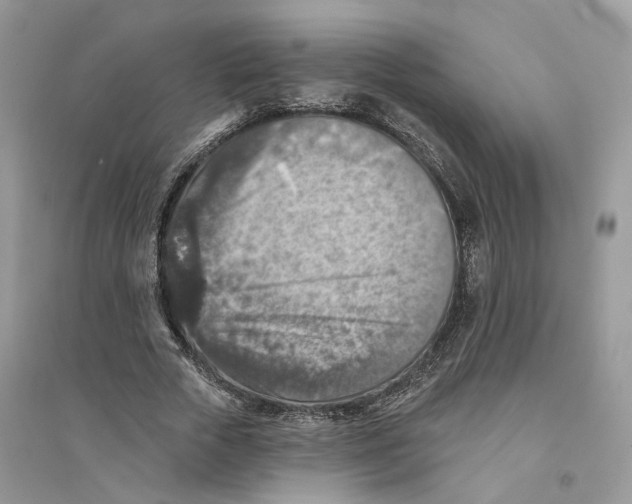 X0000094460729200711291721