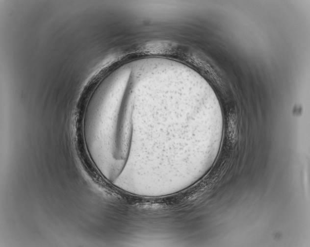 X0000094460730200711291721