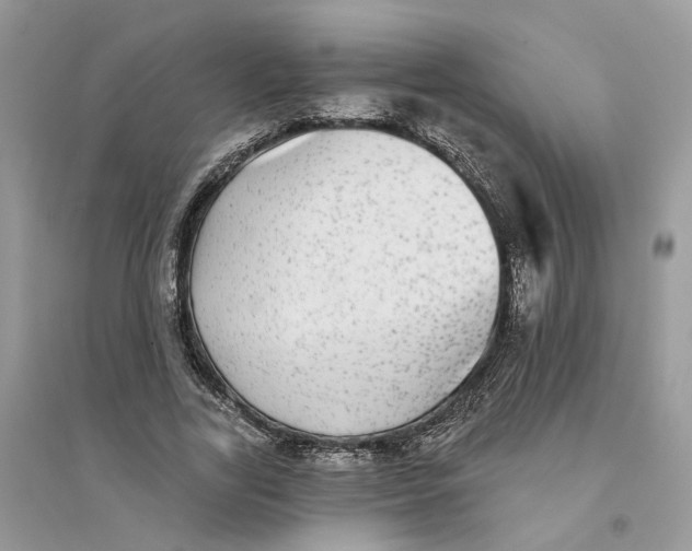 X0000094460731200711291721