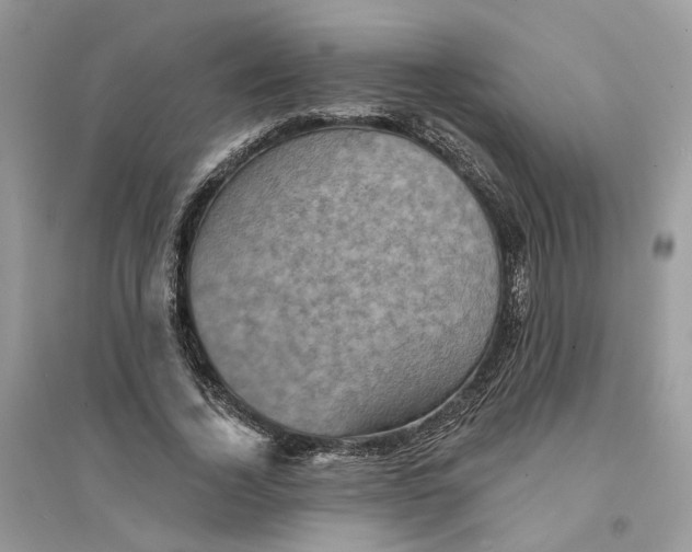 X0000094460732200711291721