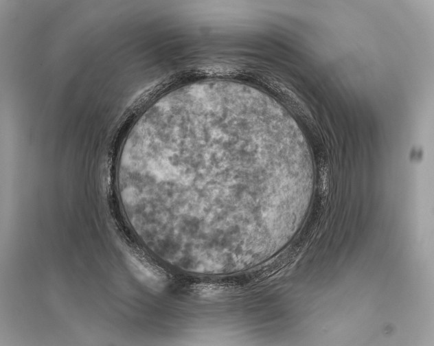 X0000094460733200711291721