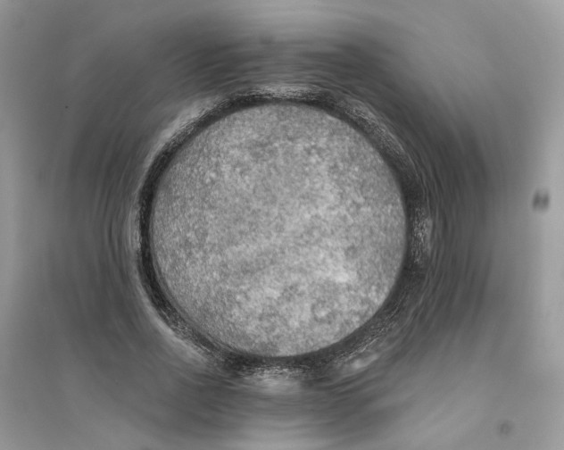 X0000094460734200711291721