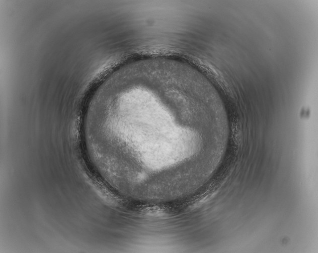 X0000094460735200711291721