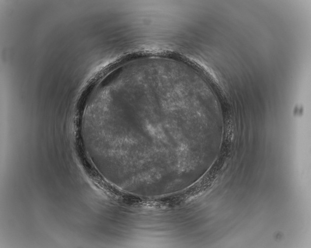 X0000094460736200711291721