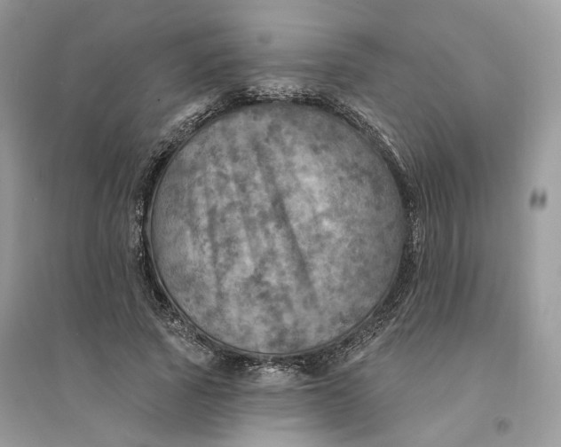 X0000094460737200711291721