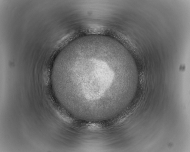 X0000094460741200711291721