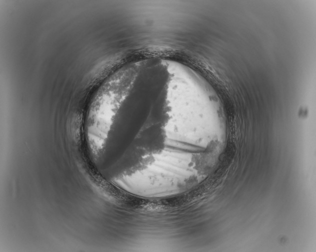 X0000094460742200711291721