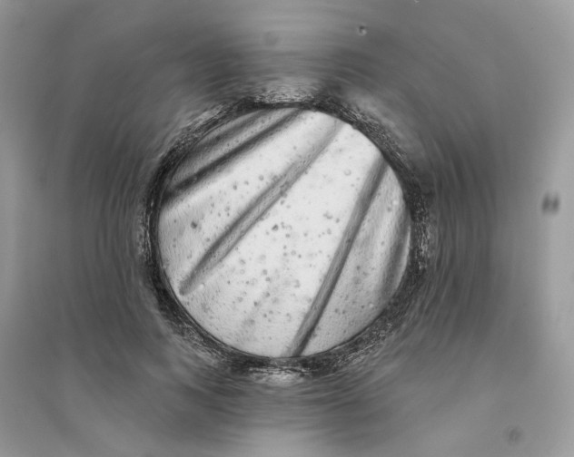 X0000094460743200711291721