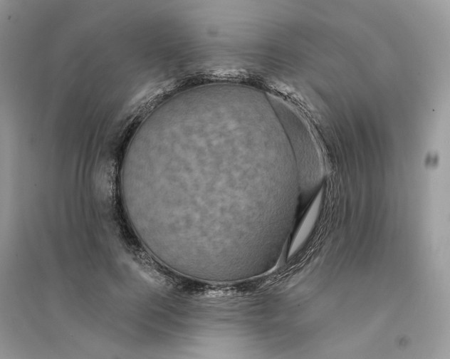 X0000094460744200711291721