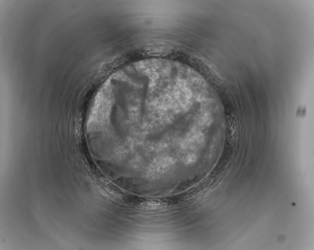 X0000094460745200711291721