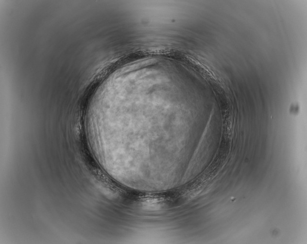 X0000094460746200711291721