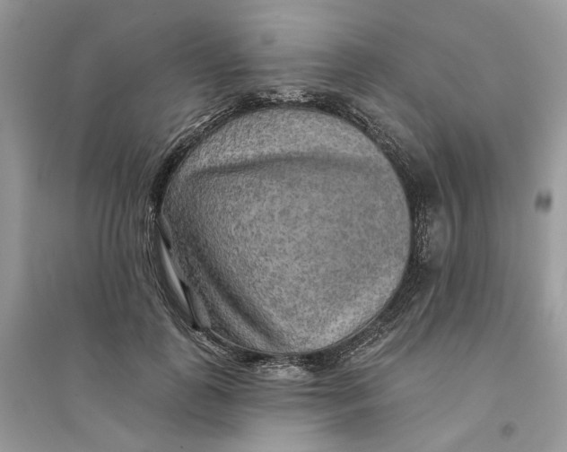 X0000094460747200711291721